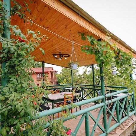 Guest House Evdoshvili St N5 Signagi Exteriér fotografie